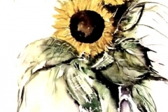 Sonnenblumen-aquarell